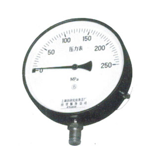 Y200*250MPA压力表（特规）